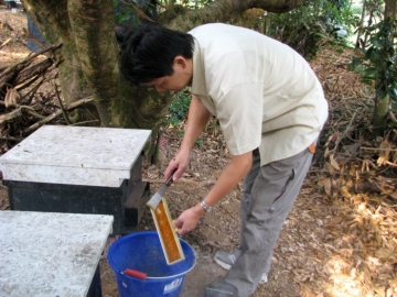 冰冰週記之在地生活 續集