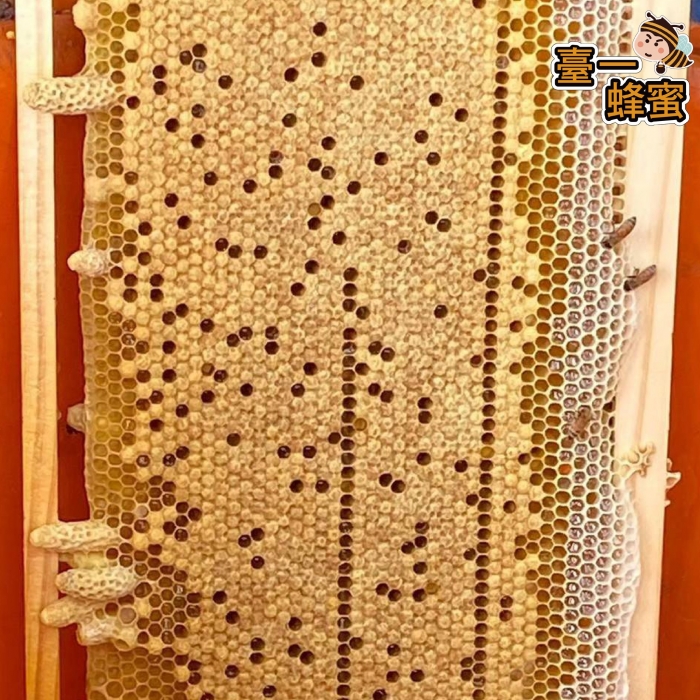 341170158_788603369292627_5286435756920326025_n 341170158_788603369292627_5286435756920326025_n