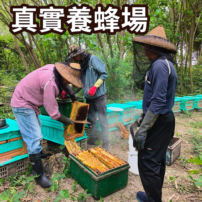 _工作區域 1-700 _工作區域 1-700